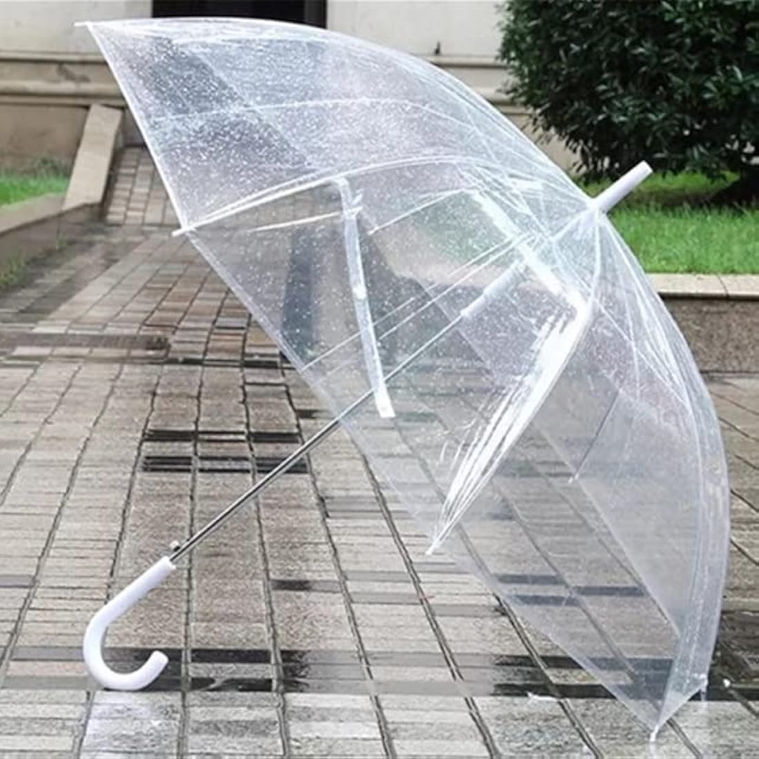 Transparent Umbrella For Kids